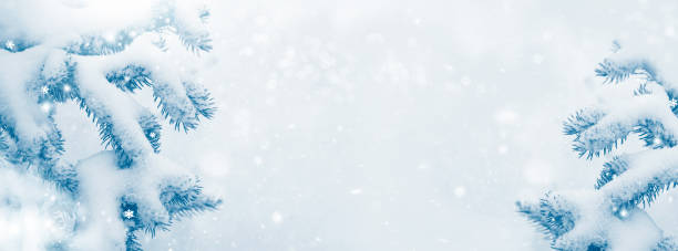 istock snow covered trees. Merry Christmas and Happy New Year. 1288335426