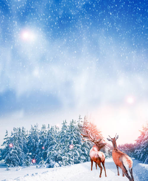 istock Winter landscape. Snow covered trees. deer. 1288335458