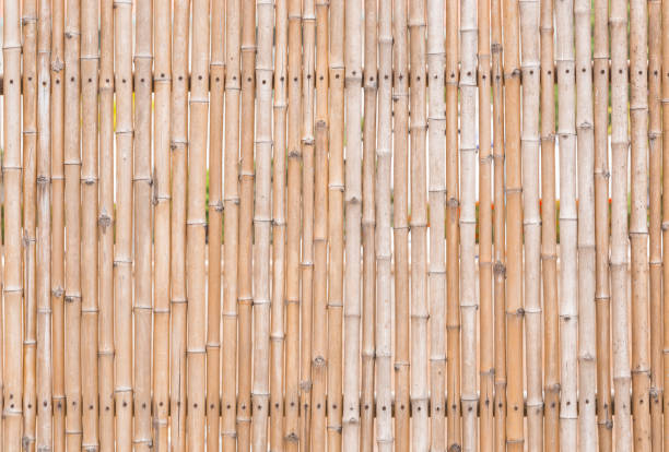istock decorative old bamboo wood  background 1288336262