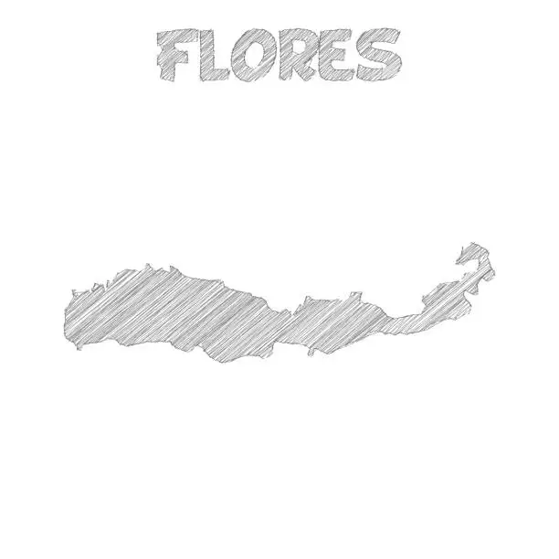 Vector illustration of Flores map hand drawn on white background