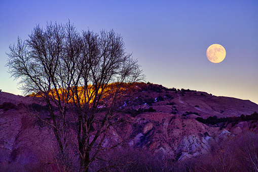 Full Moon Rising Scenic Landscape Colorado - Rugged hills with warm toned large moon rising over ridge with silhouetted tree.