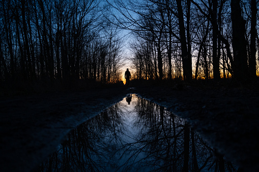 Beautiful sunset with silhouette of person walking dog and reflection of trees in water puddle