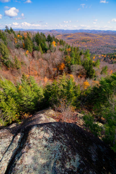 istock Colorful foliage in the valley 1288344808