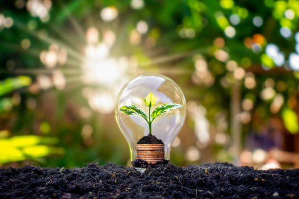 istock Tree grows in light bulbs, energy-saving and environmental concepts on Earth Day. 1288346511