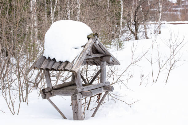 istock For feeding birds in the cold winter forest. 1288355357