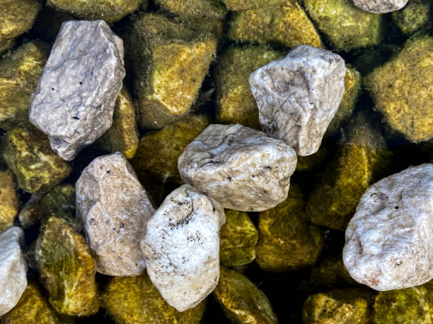 istock Images prepared for the background. 1288363455