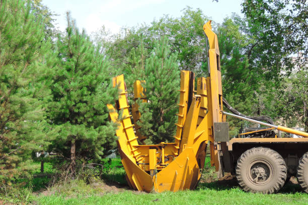 istock Tree transplanter heavy machine. machine for transplanting large trees. Planting large spruce trees in the park 1288364245
