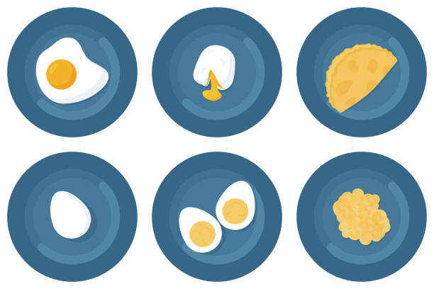 illustrations, cliparts, dessins animés et icônes de options de préparation d’oeufs : oeuf bouilli, frit, poché, omelette au lait, oeufs brouillés. illustration vectorielle - poached