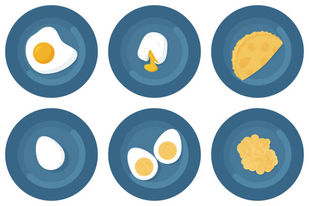 ilustrações, clipart, desenhos animados e ícones de opções de preparo de ovos: ovo cozido, frito, cozido, omelete com leite, ovos mexidos. ilustração vetorial - poached