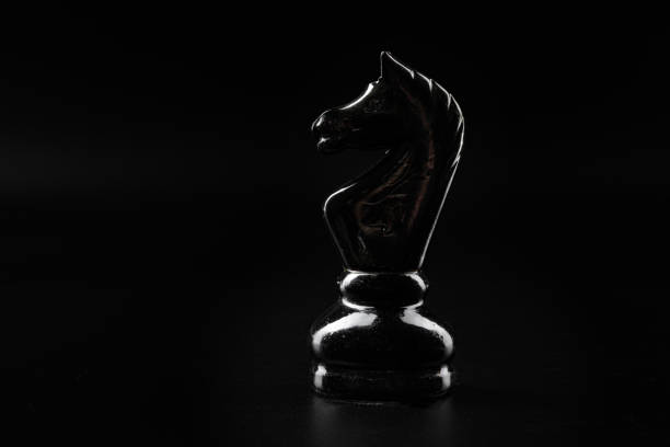 Royal Chess horse black isolated on white background