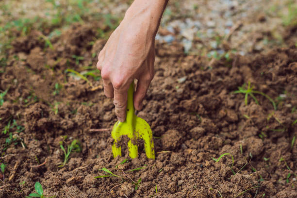 istock A man's hand with a garden tool. Man gardening 1288370952