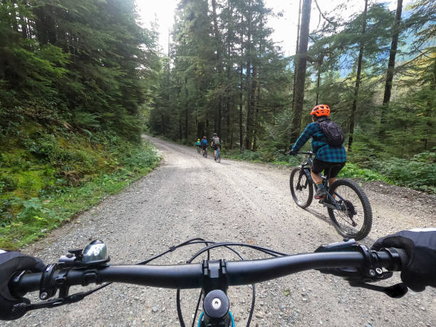 pov, family riding bikes on gravel road through forest - logging road imagens e fotografias de stock