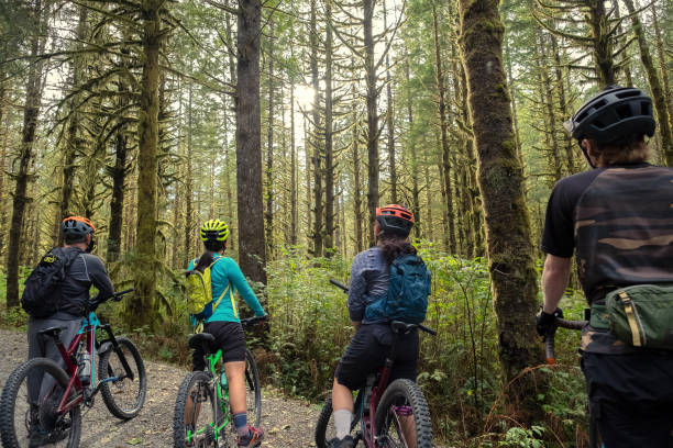 istock Mountain Biking Family Admiring Moss and Lichen Covered Trees 1288372803