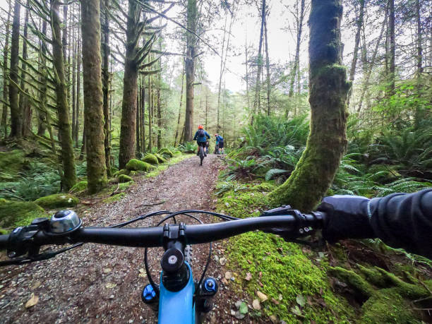 pov, mountain bike in famiglia su per la collina nella foresta muschiata - bikers point of view foto e immagini stock