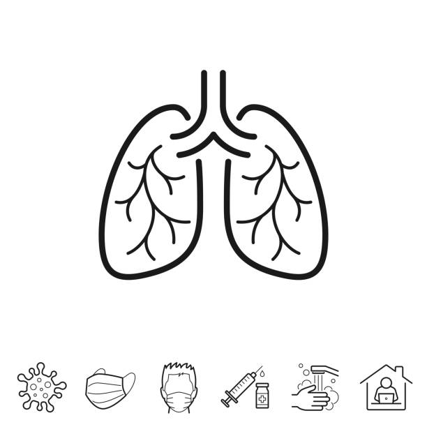 Lungs. Line icon - Editable stroke Lungs. Trendy icon isolated on white and blank background for your design. Includes 6 popular icons: - Coronavirus cell (COVID-19), - Medical or surgical face mask, - Man in medical face protection mask, - Vaccination - Syringe and vaccine vial, - Washing hands with soap and water, - Work from home. Vector Illustration (EPS10, well layered and grouped), easy to edit, manipulate, resize or colorize. And Jpeg file of different sizes. bronchitis stock illustrations