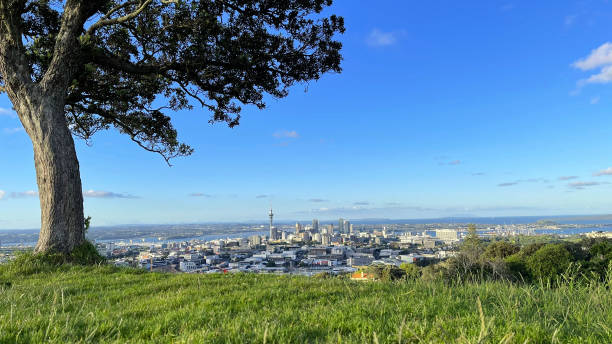 Best view of Auckland city skyline from summit of Mt Eden Best view of Auckland city skyline from summit of Mt Eden auckland stock pictures, royalty-free photos & images