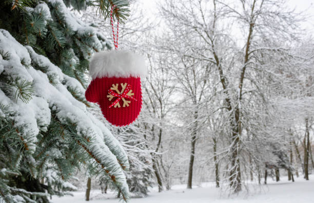 冬の雪の中に横たわる赤いミトン。お祝いの装飾。クリスマスツリー。枝にぶら下がっているミッテン。クリスマスと新年の伝統。テキストのスペース。 - glove nobody colors wool ストックフォトと画像