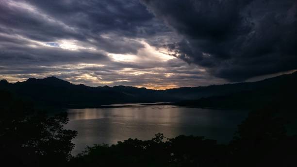 istock A beautyfull god's creature 1288382104