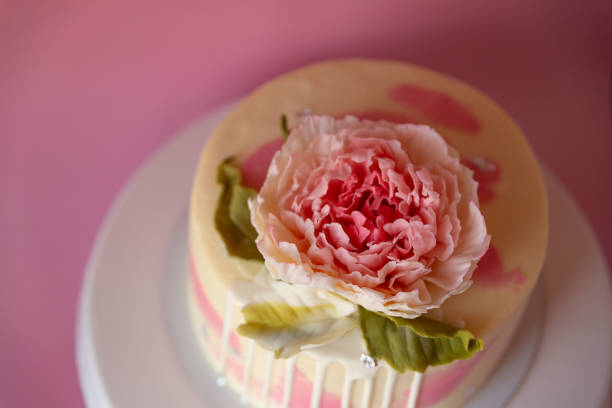 istock White sponge cake decorated with chocolate peony on a pink background 1288383921