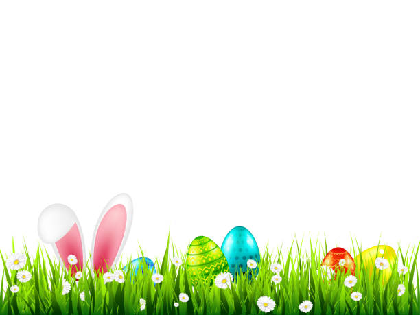 ilustrações de stock, clip art, desenhos animados e ícones de easter eggs on grass with bunny rabbit ears set. spring holidays in april. sunday seasonal celebration with egg hunt - mask religious celebration horizontal easter