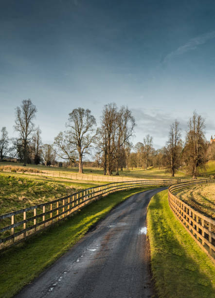 istock fence in a park in scotland 1288386375