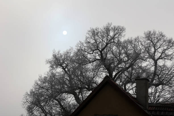 Sun in fog over rooftops and trees.