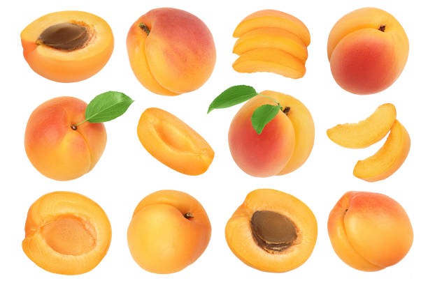 istock apricot fruit isolated on white background. Clipping path. Top view. Flat lay. Set or collection 1288389327