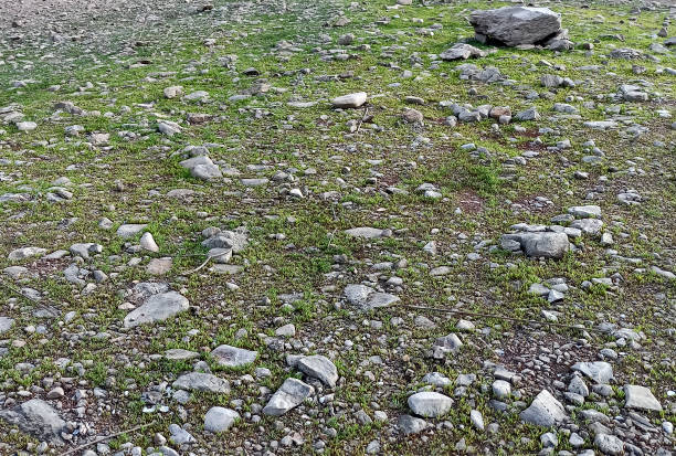 The stones on the floor in the forest