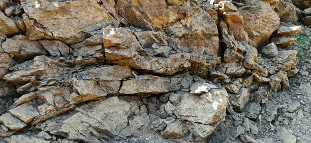 istock The surface of the large rocks in the forest 1288390450