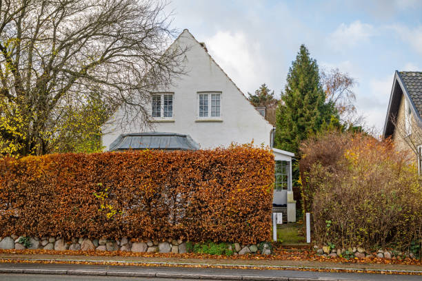 典型的なデンマークの一戸建て住宅 - denmark house villa detached house ストックフォトと画像