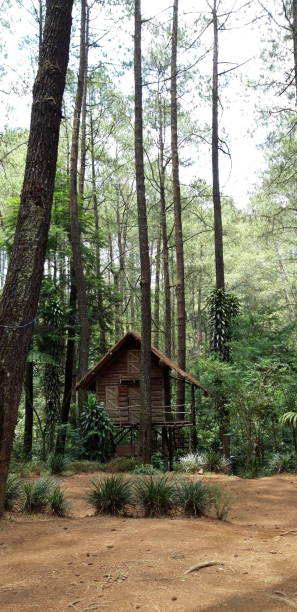 istock Cabin in the wood 1288391018