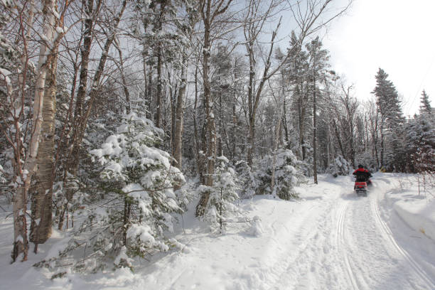 istock Snowmobiling in the Woods 1288395753
