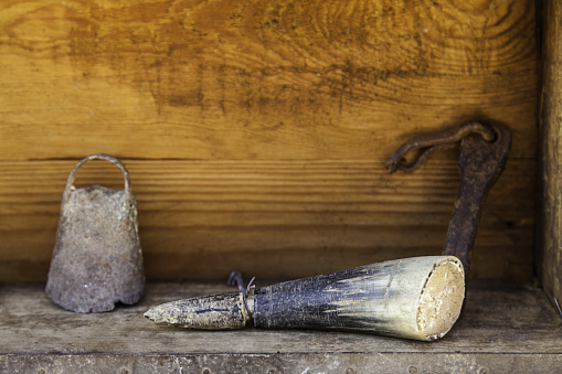 Old medieval animal horn for decoration, traditional object detail