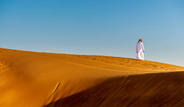 istock alone in the desert on a sand dune 1288395868