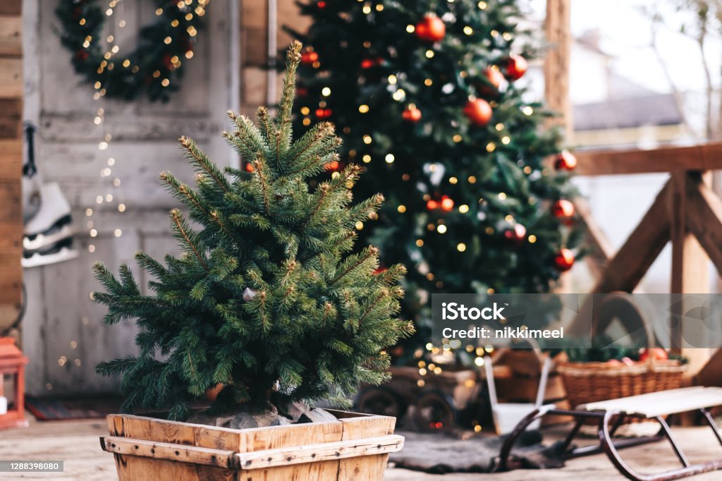 Small Christmas tree in a wooden pot in the backyard with christmas decorations Small Christmas tree in a wooden pot in the backyard with christmas decorations. High quality photo Christmas Stock Photo