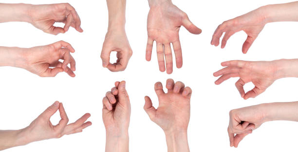 istock Empty male hand making gesture like holding something isolated on white background. Set of multiple images 1288398366