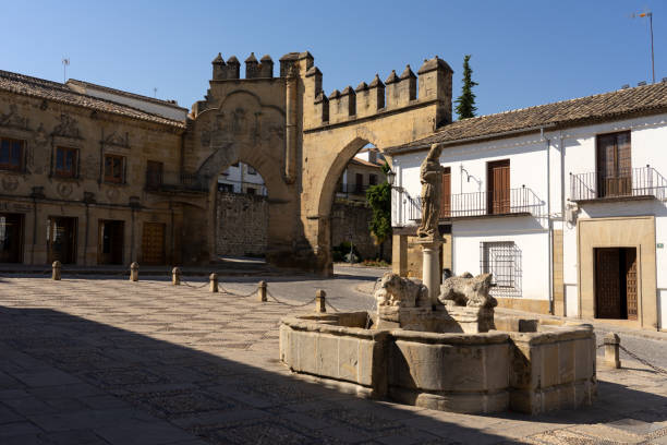 Lyons square in the old town of Baeza, World Heritage Site by UNESCO, JAen, Spain. Baeza, Spain - September 07, 2020: Lyons square in the old town of Baeza, World Heritage Site by UNESCO, JAen, Spain. jaen stock pictures, royalty-free photos & images