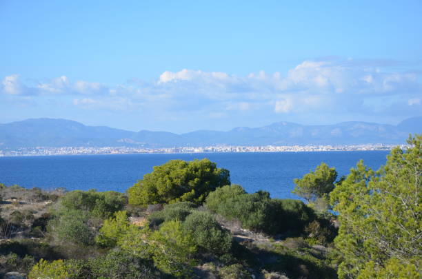 istock View of Palma 1288400720