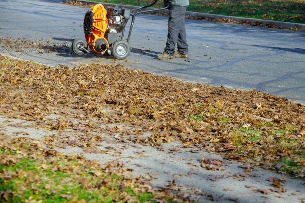 istock Man operating cleaning the sidewalk with a leaf blower 1288401634