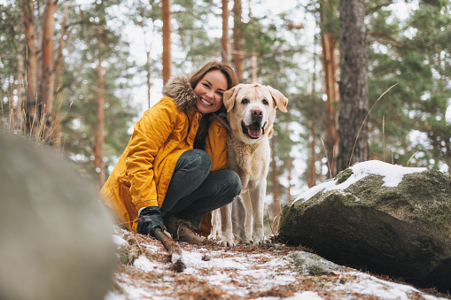 Young smiling woman in yellow jacket with big kind white dog Labrador walking in the winter forest