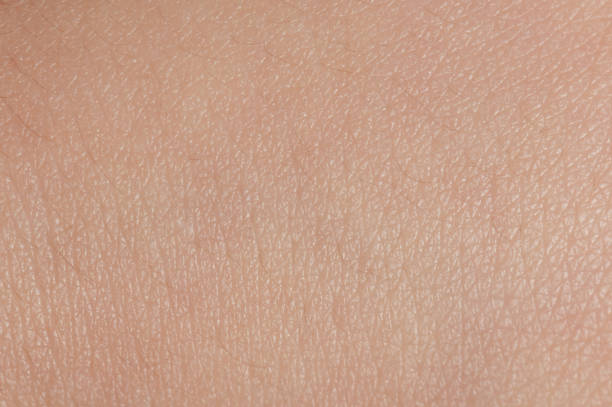 istock Pores on young human skin background 1288403554