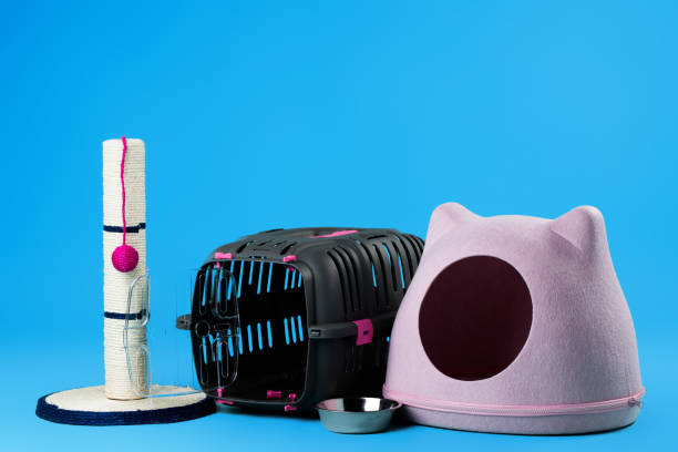 istock Pet acceesories set for cats: house, scratching post and bowl 1288407996