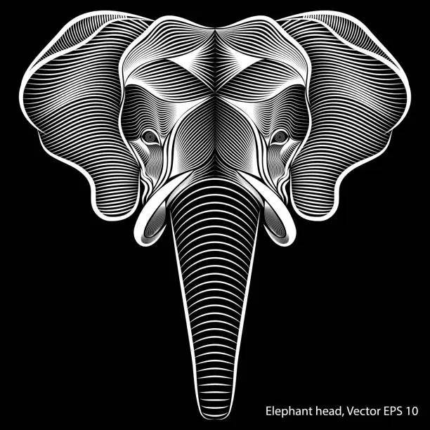 Vector illustration of abstract elephant head, line art