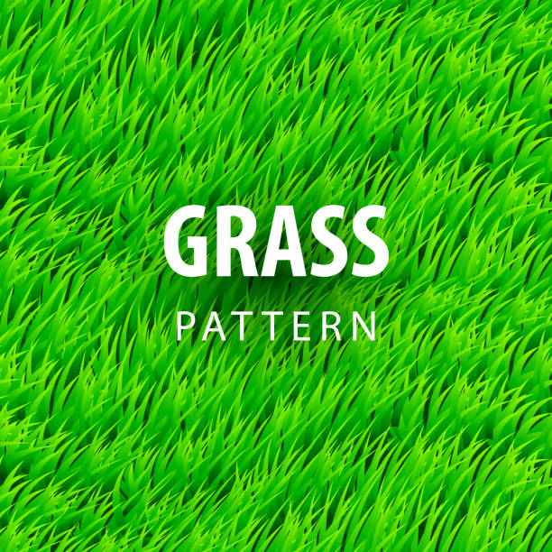 Grass Rug Clip Art 750+ Carpet Grass Backgrounds Stock Illustrations, Royalty-Free Vector ...