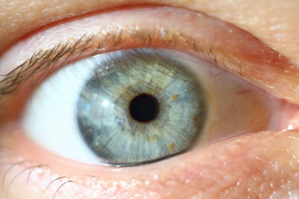 istock Male wide open eye 1288409897