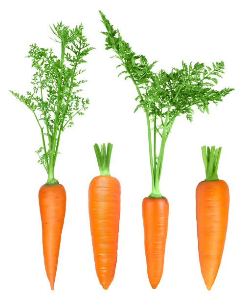 istock Carrot isolated on white background with clipping path and full depth of field. Top view. Flat lay 1288413341