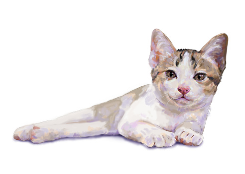 Adorable white kitten resting on white background, digital painting.