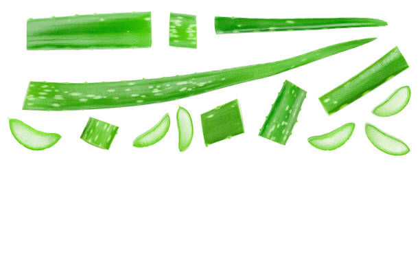 istock Aloe vera with slices isolated on white background with copy space for your text. Top view. Flat lay. 1288418962