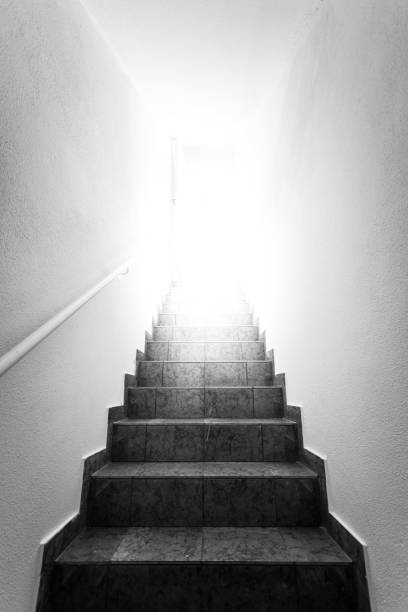 istock Basement stairway with railing, bright natural sunlight 1288420373