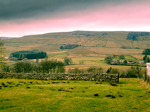Molehills on a Cumbrian sheep farm with an overcast wintry sky.